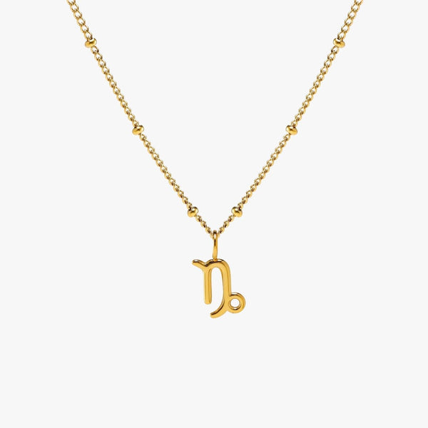 Zodiac Harmony Charm Necklace